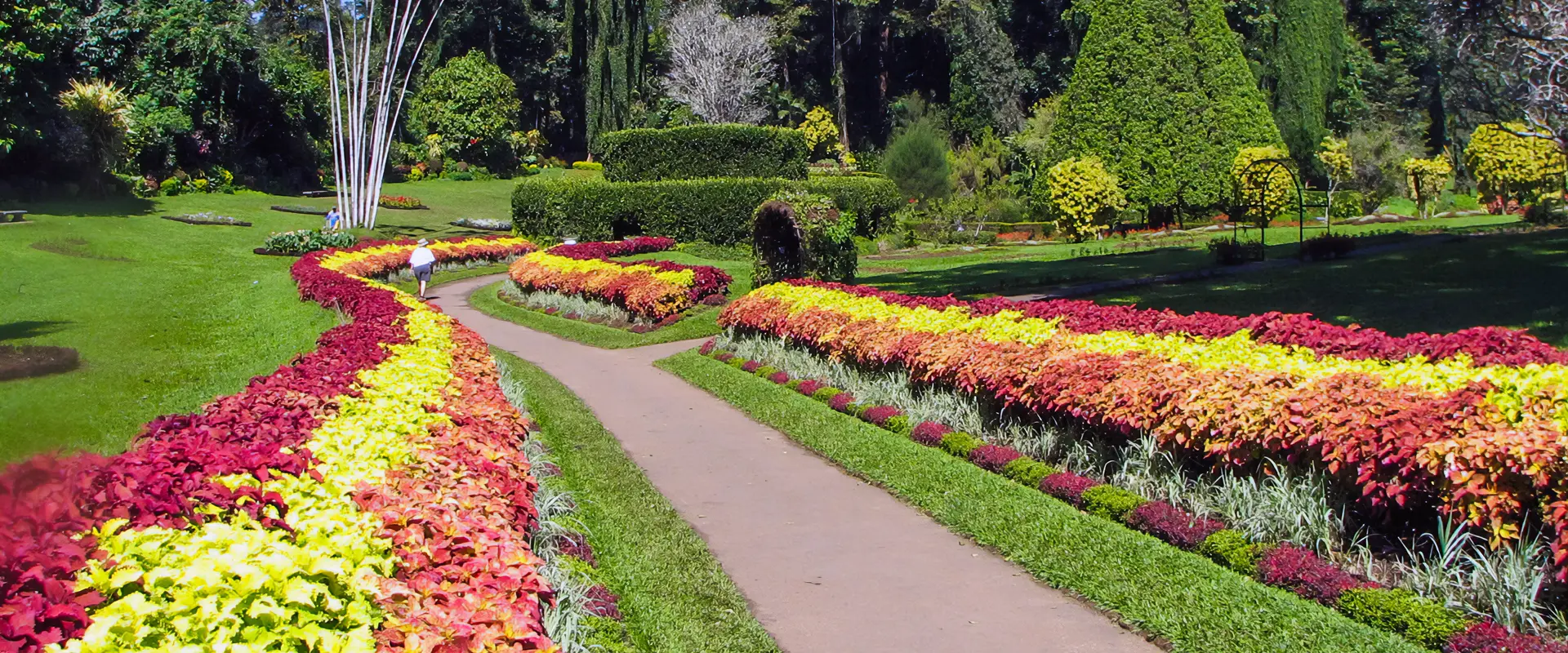 kandy-day-tour-from-galle-royal-botanical-gardens