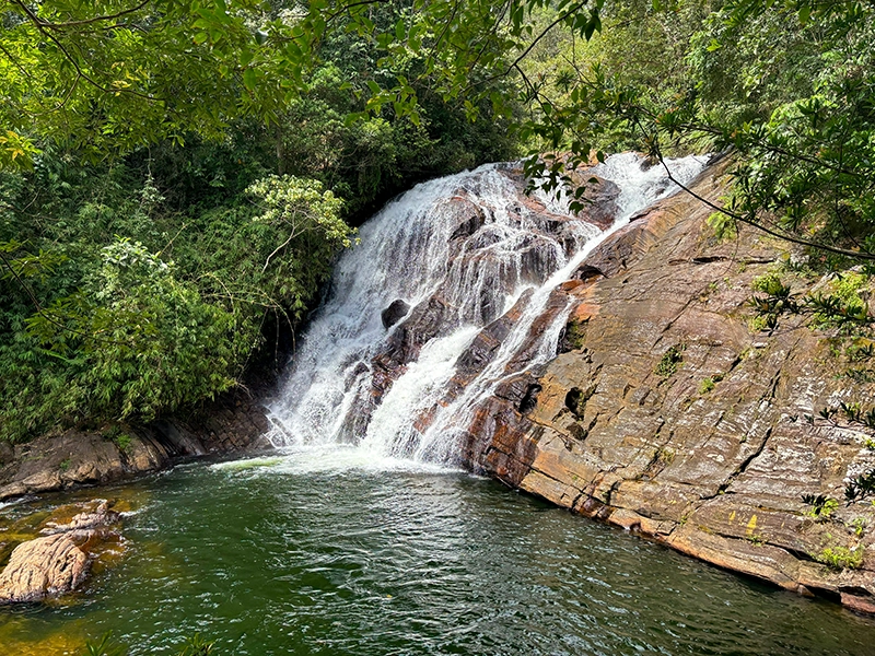 sinharaja-rainforest-trekking-tour-sri-lanka